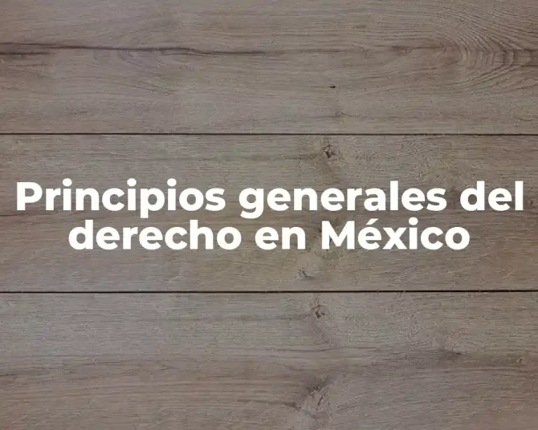 Principios generales del derecho en México