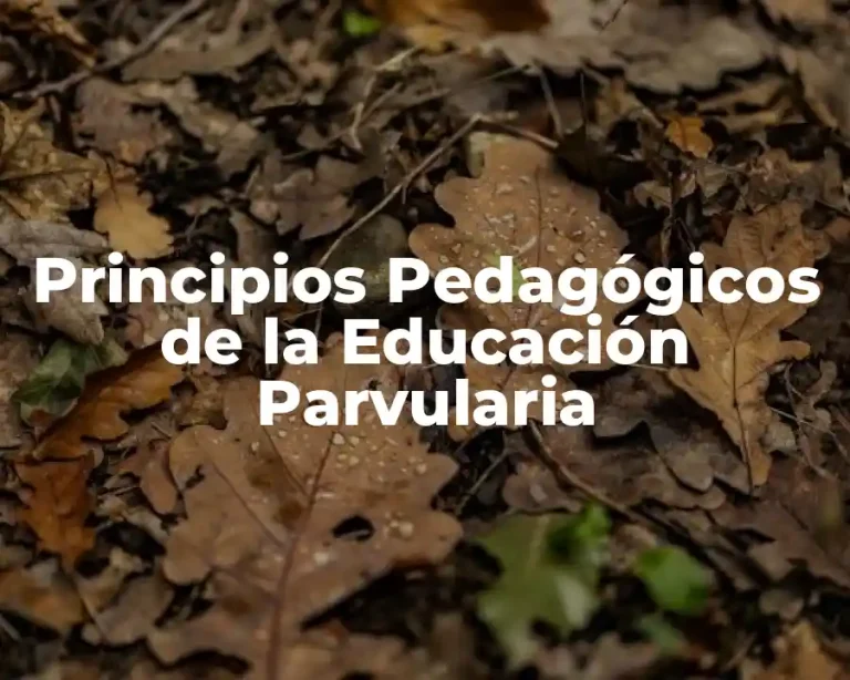 Principios Pedagógicos de la Educación Parvularia