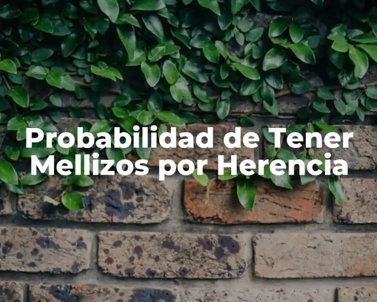 Probabilidad de Tener Mellizos por Herencia