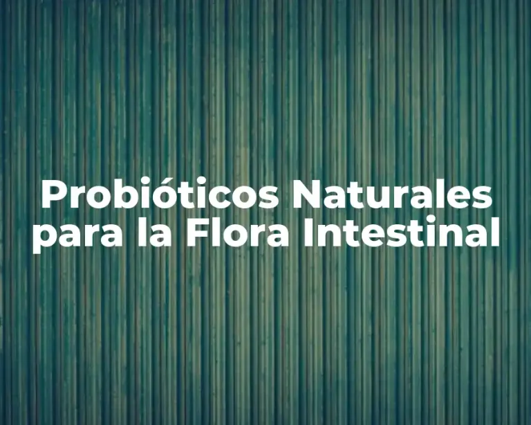 Probióticos Naturales para la Flora Intestinal