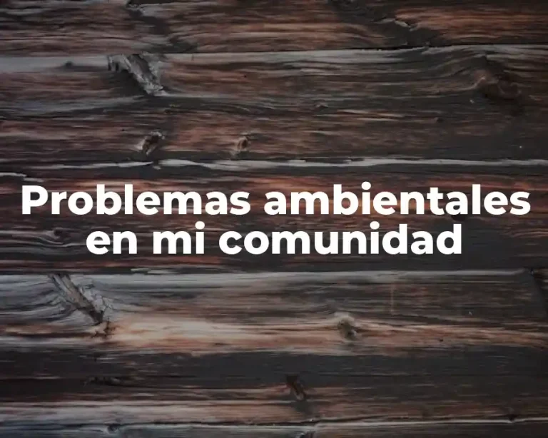 Problemas ambientales en mi comunidad