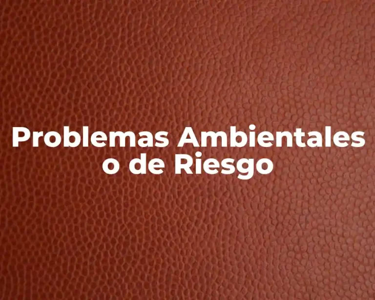 Problemas Ambientales o de Riesgo