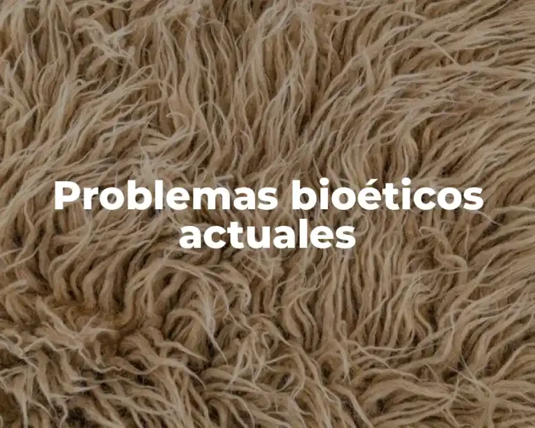 Problemas bioéticos actuales