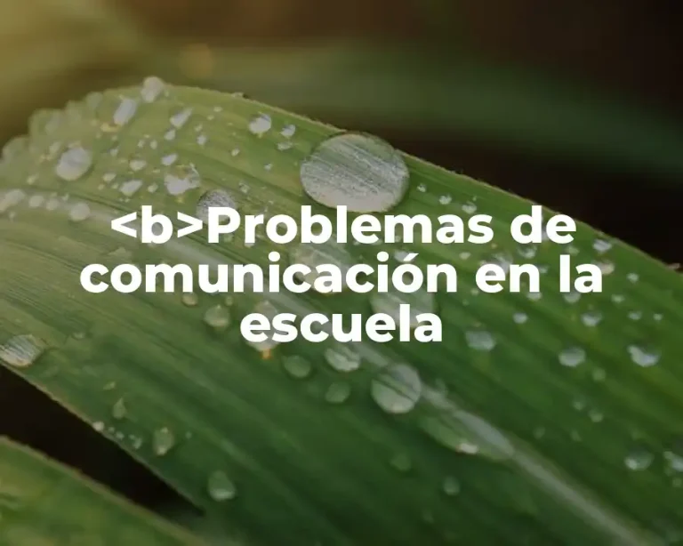 <b>Problemas de comunicación en la escuela