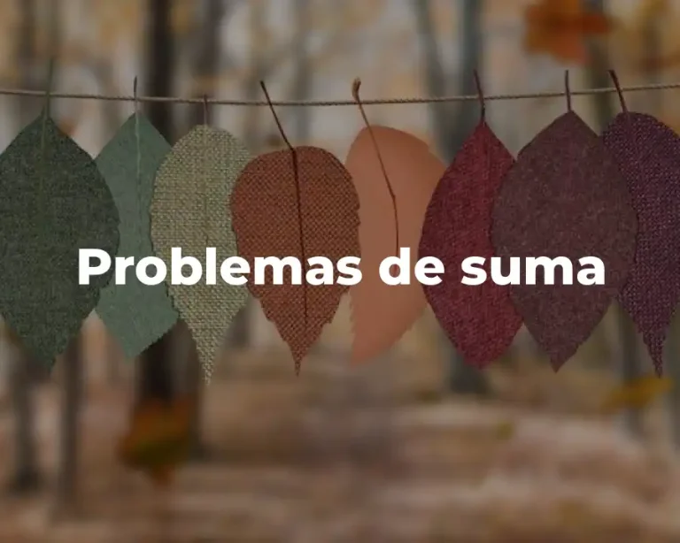 Problemas de suma