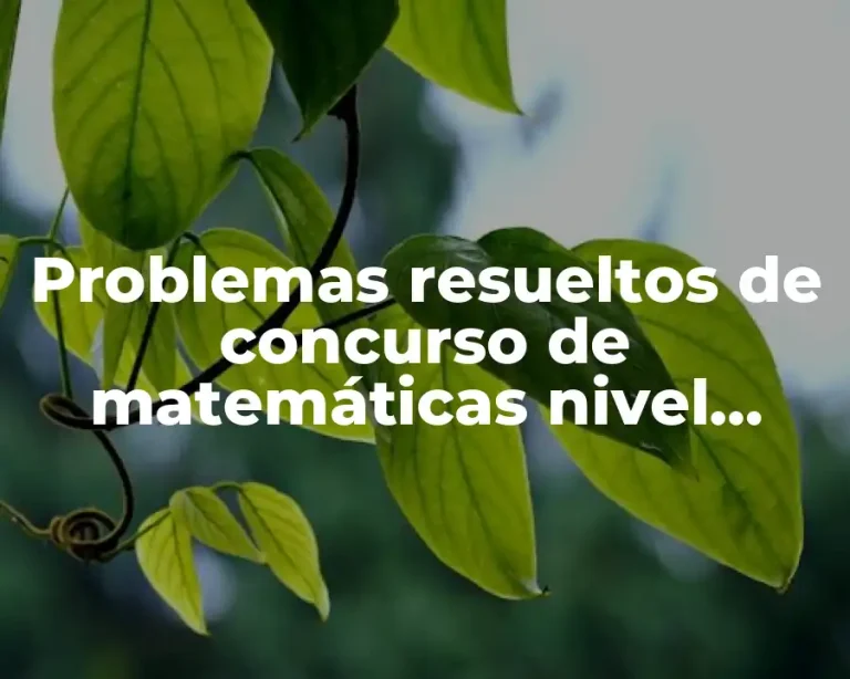 Problemas resueltos de concurso de matemáticas nivel cotorra