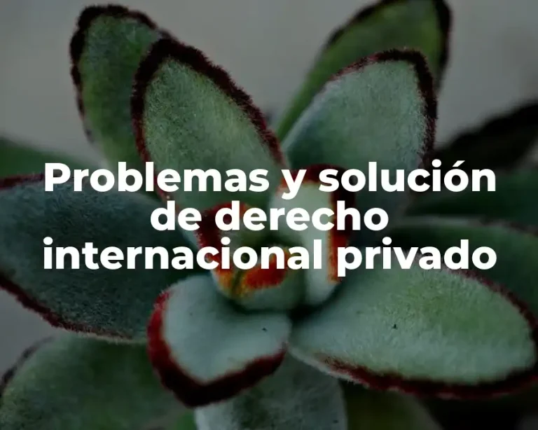 Problemas y solución de derecho internacional privado