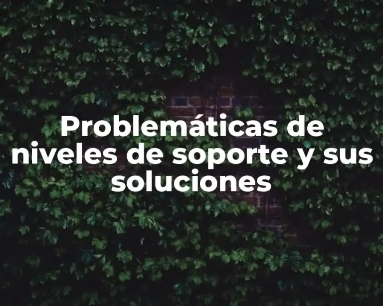 Problemáticas de niveles de soporte y sus soluciones