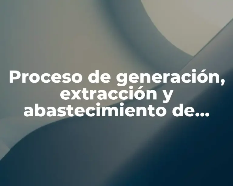 Proceso de generación, extracción y abastecimiento de insumos