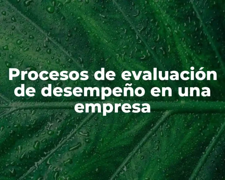 Procesos de evaluación de desempeño en una empresa