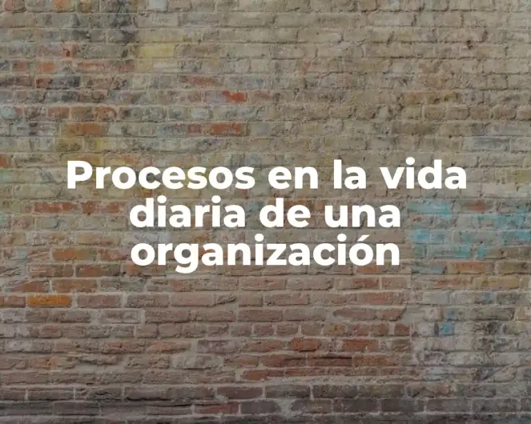 Procesos en la vida diaria de una organización