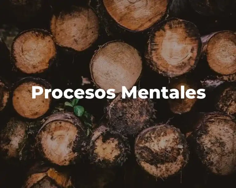 Procesos Mentales