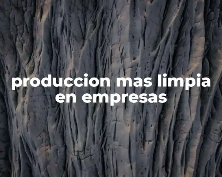produccion mas limpia en empresas
