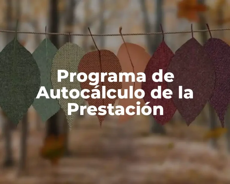 Programa de Autocálculo de la Prestación