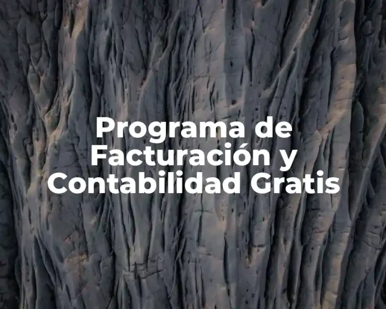 Programa de Facturación y Contabilidad Gratis