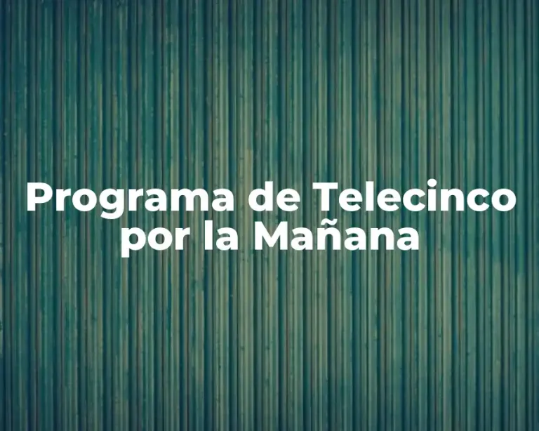 Programa de Telecinco por la Mañana