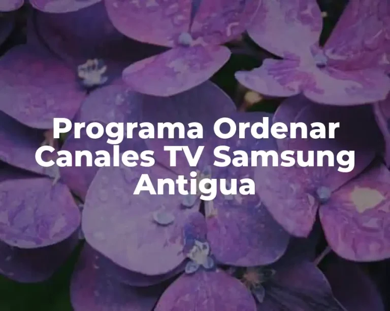 Programa Ordenar Canales TV Samsung Antigua