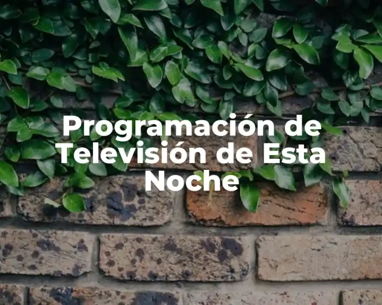 Programación de Televisión de Esta Noche
