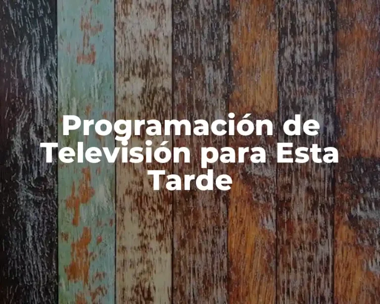 Programación de Televisión para Esta Tarde