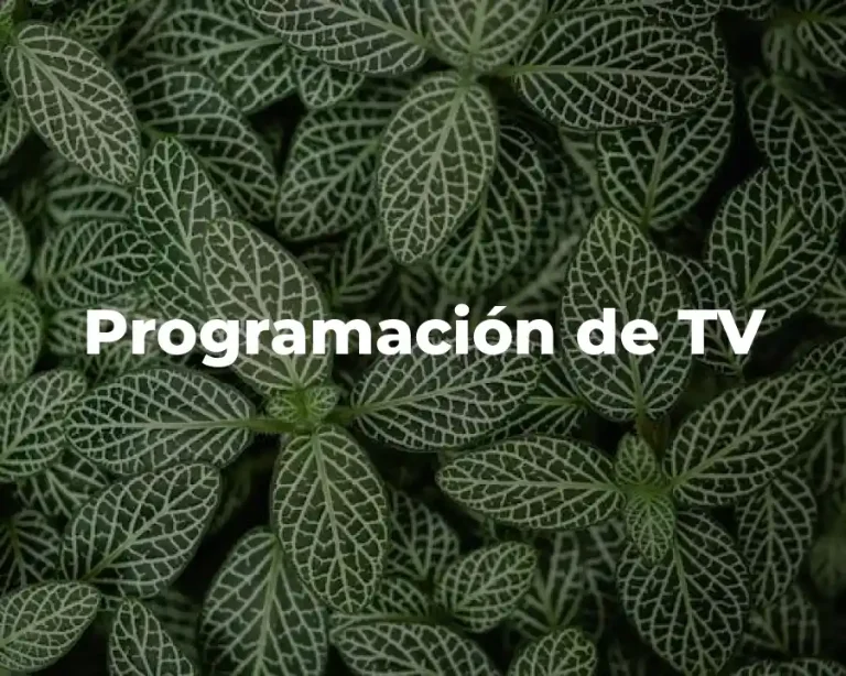 Programación de TV