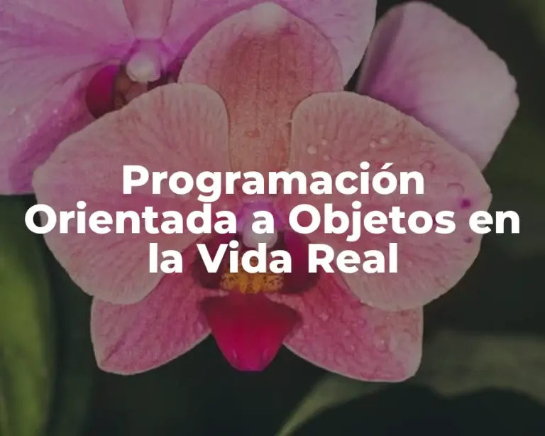 Programación Orientada a Objetos en la Vida Real