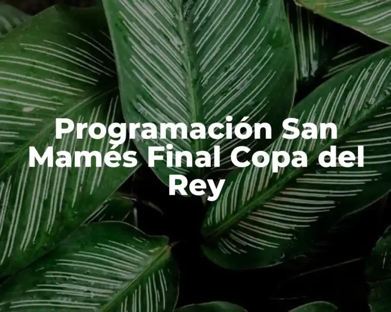Programación San Mamés Final Copa del Rey