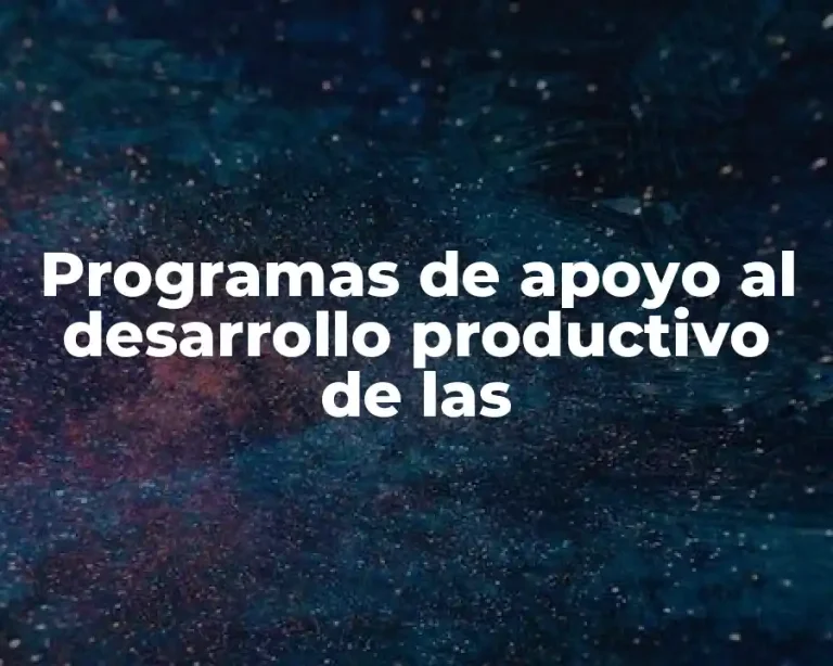 Programas de apoyo al desarrollo productivo de las
