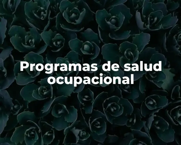 Programas de salud ocupacional