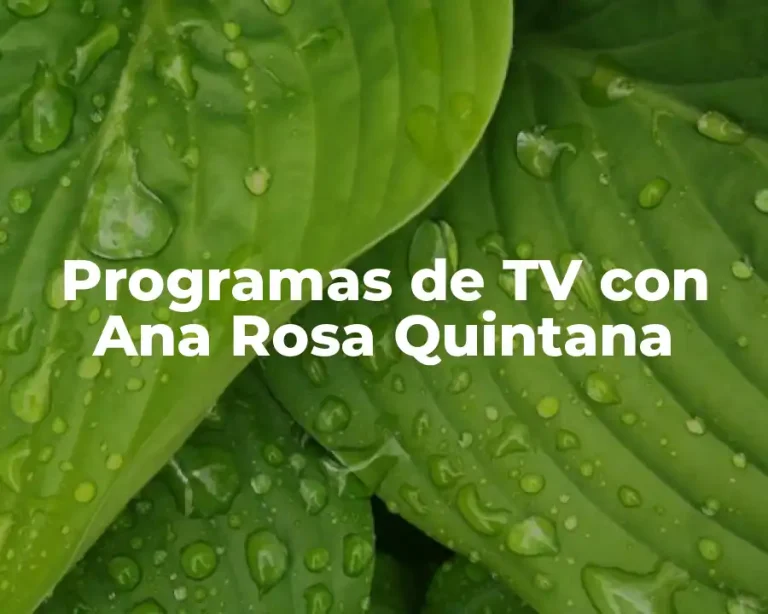 Programas de TV con Ana Rosa Quintana