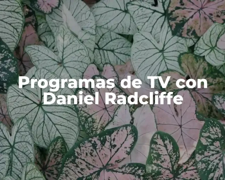 Programas de TV con Daniel Radcliffe