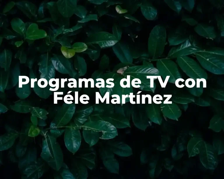 Programas de TV con Féle Martínez