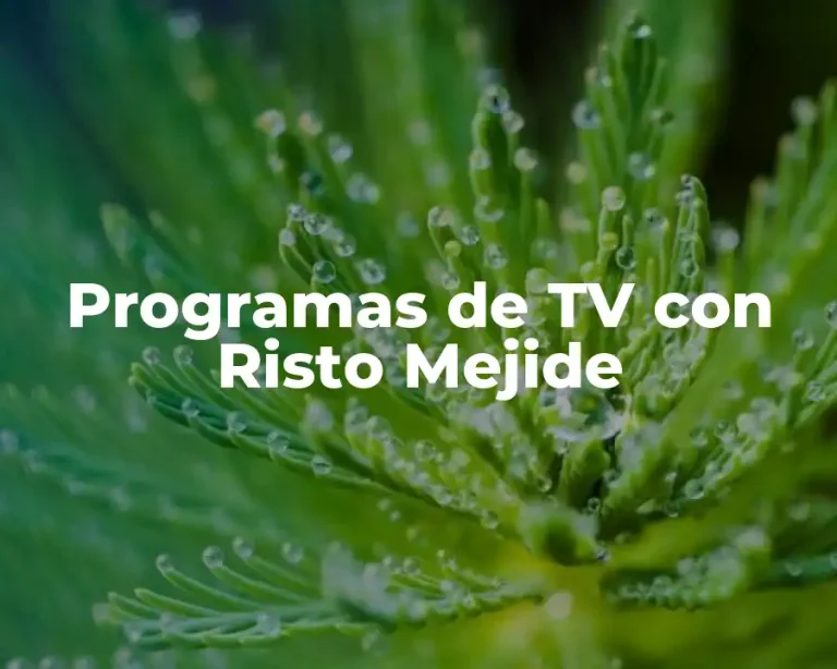Programas de TV con Risto Mejide