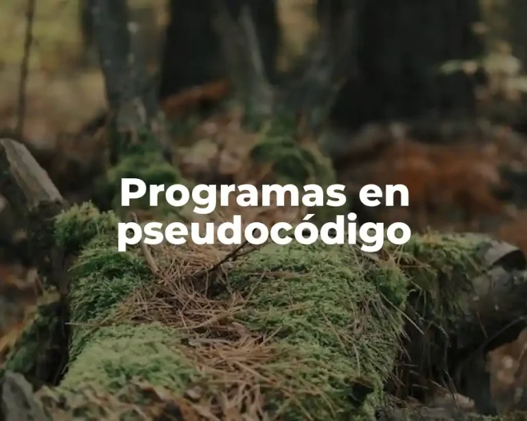 Programas en pseudocódigo