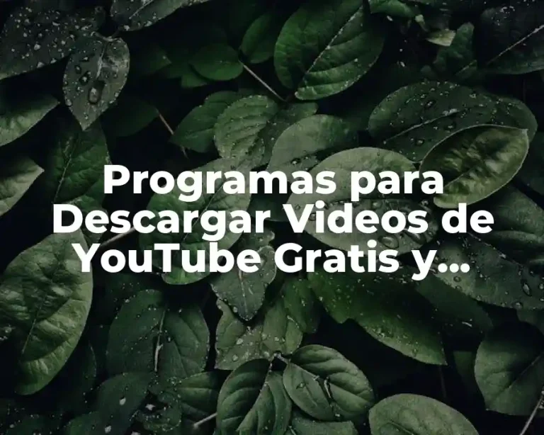 Programas para Descargar Videos de YouTube Gratis y Seguros