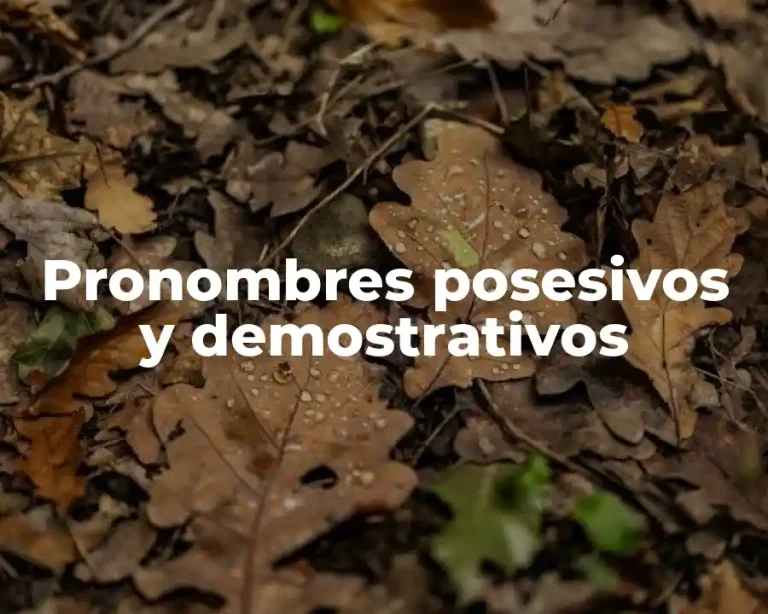 Pronombres posesivos y demostrativos