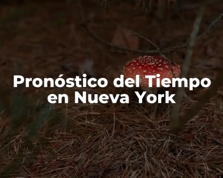 Pronóstico del Tiempo en Nueva York