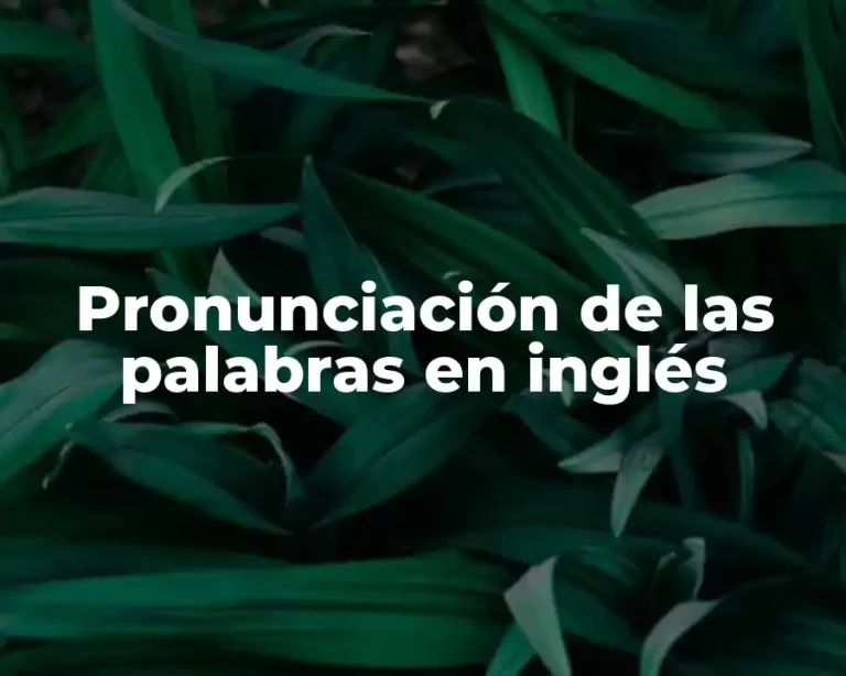 Pronunciación de las palabras en inglés