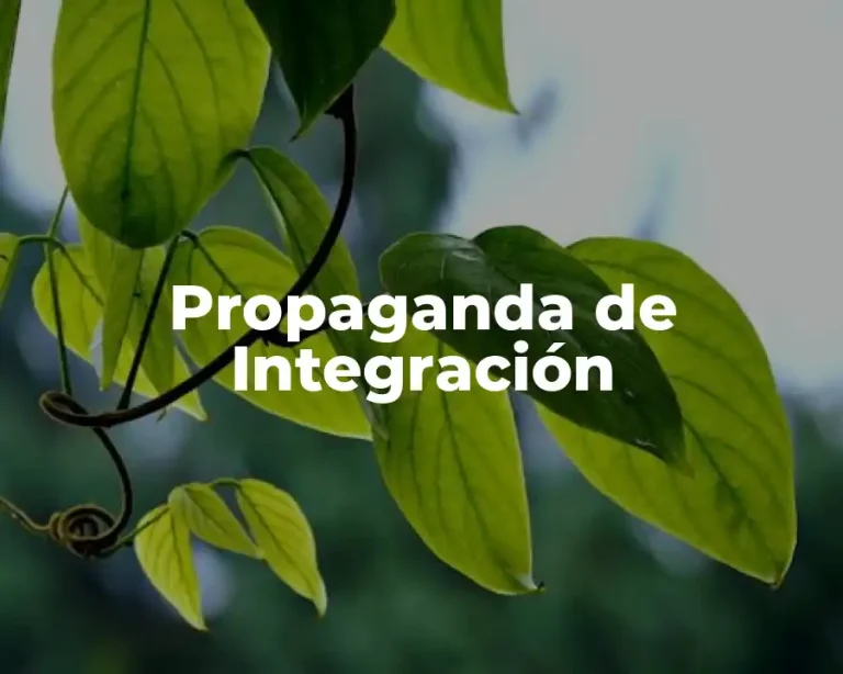 Propaganda de Integración