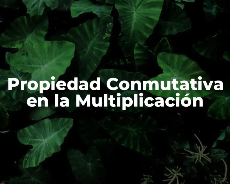 Propiedad Conmutativa en la Multiplicación