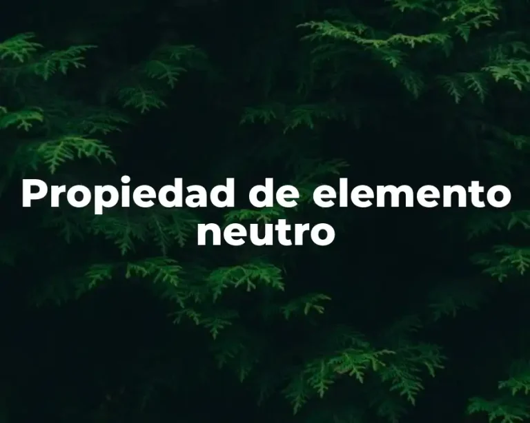 Propiedad de elemento neutro