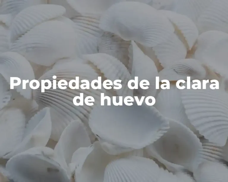 Propiedades de la clara de huevo