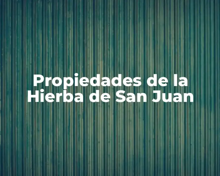 Propiedades de la Hierba de San Juan