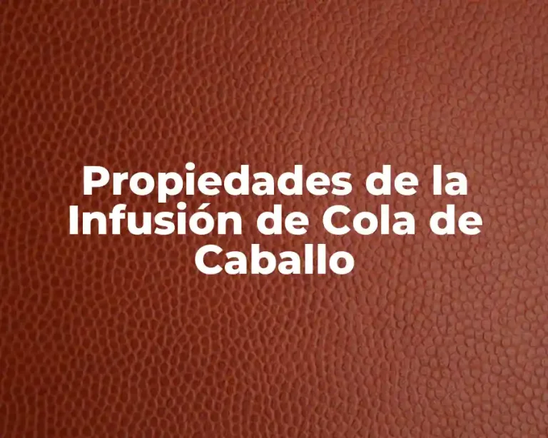 Propiedades de la Infusión de Cola de Caballo