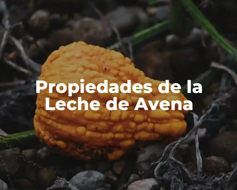 Propiedades de la Leche de Avena
