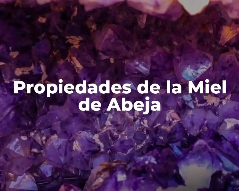 Propiedades de la Miel de Abeja