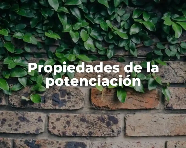 Propiedades de la potenciación