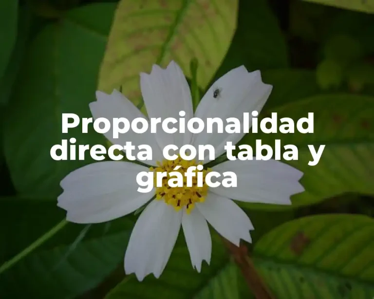 Proporcionalidad directa con tabla y gráfica