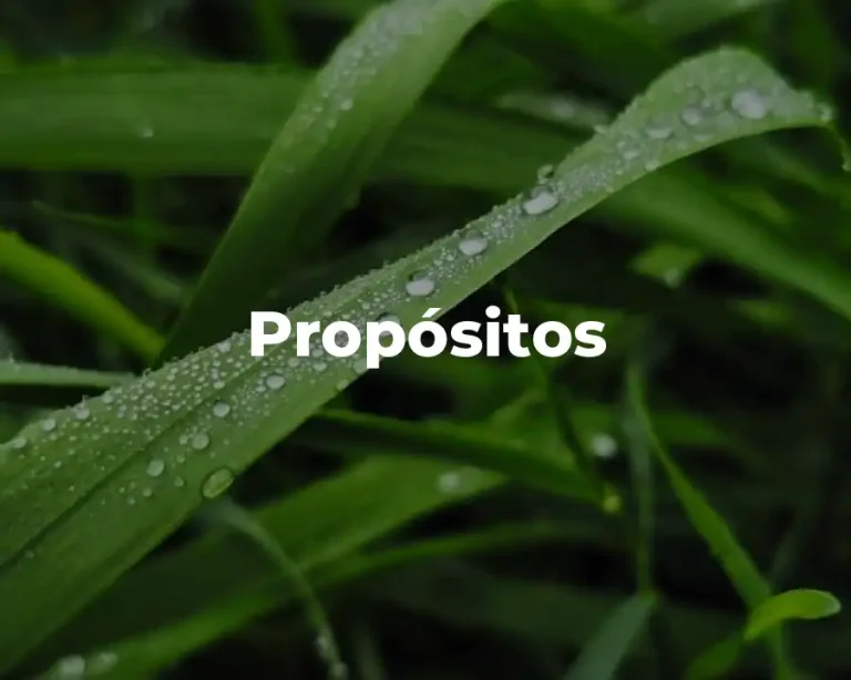 Propósitos
