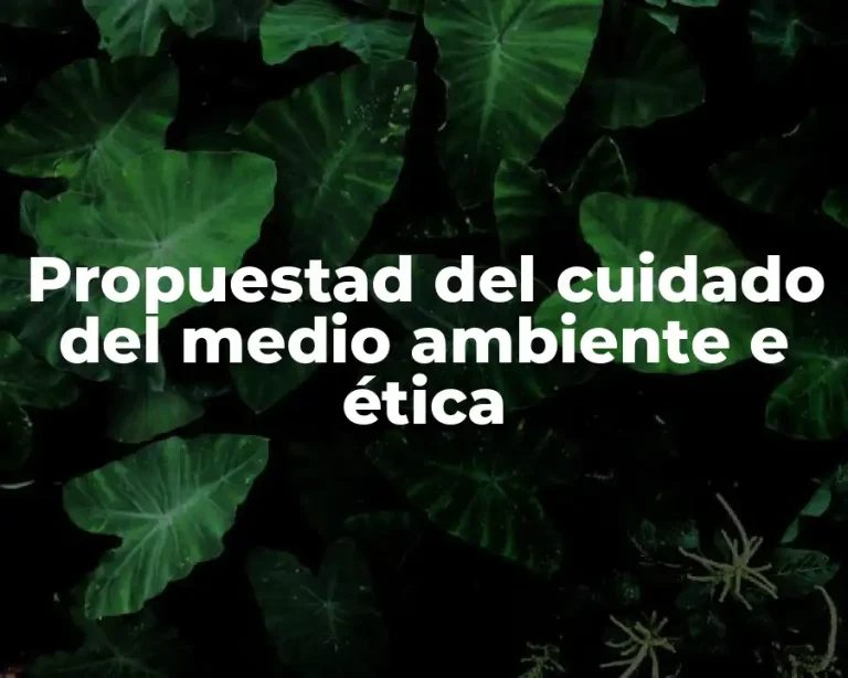 Propuestad del cuidado del medio ambiente e ética