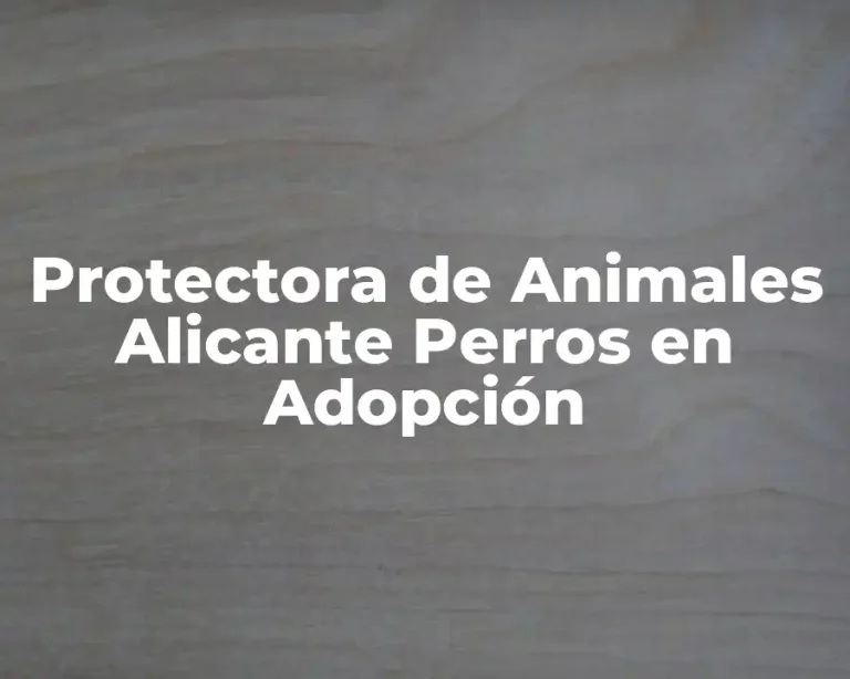 Protectora de Animales Alicante Perros en Adopción